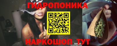 ГАЛЛЮЦИНОГЕННЫЕ ГРИБЫ Берёзовский