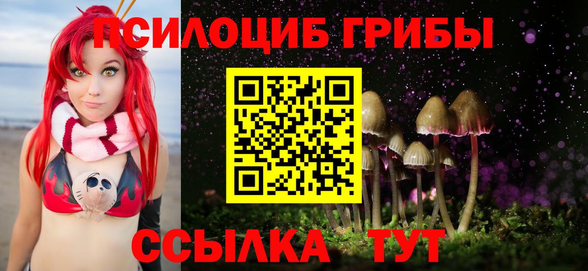 Галлюциногенные грибы мицелий  Вход с VPN  Великий Устюг  Галлюциногенные грибы GOLDEN TEACHER 